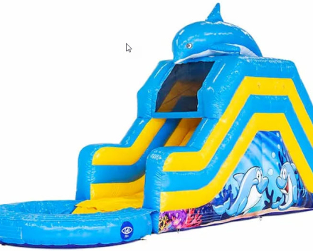 Splashy slide Dolfijn