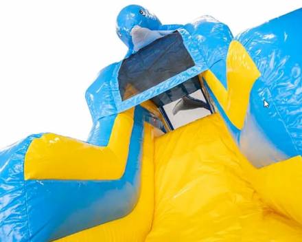 Splashy slide Dolfijn