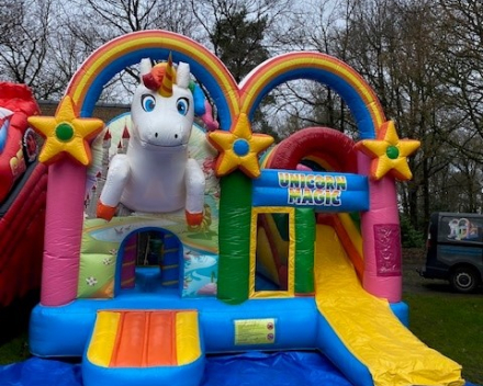 Unicorn